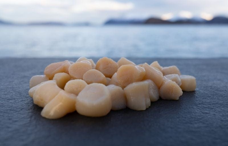 Norwegisches Kammmuschelfleisch, roh, 250 Gramm