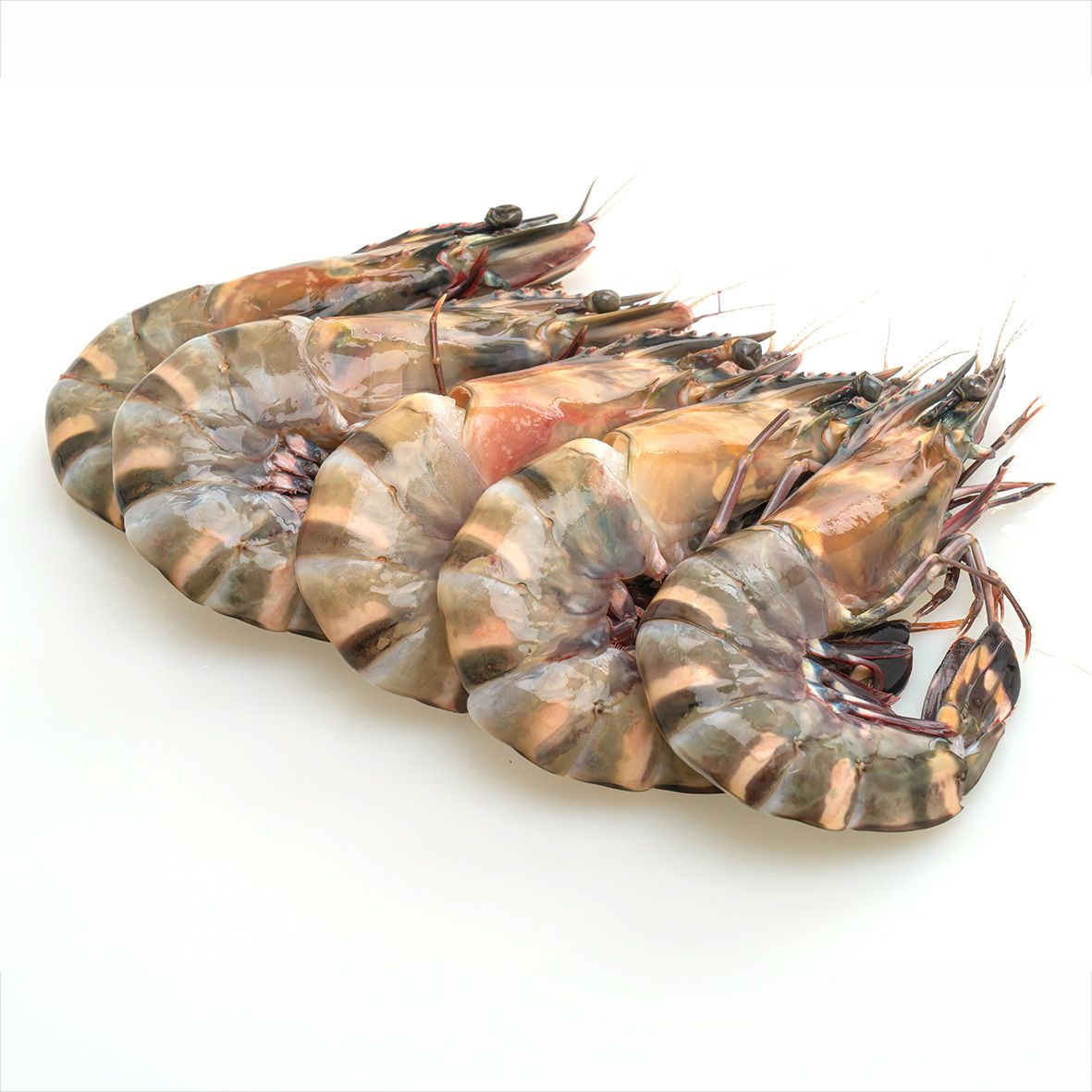 Wildfang Sea Tiger Gambas (Black Tiger Shrimps), JUMBO XL (4-6/kg) ganz, 1 kg 2