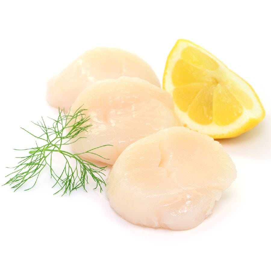 Jacobsmuschelfleisch KING (Scallops) o. Rogen L, 20/30, Nettoeinwage (40-60 St/kg) WILDFANG 1