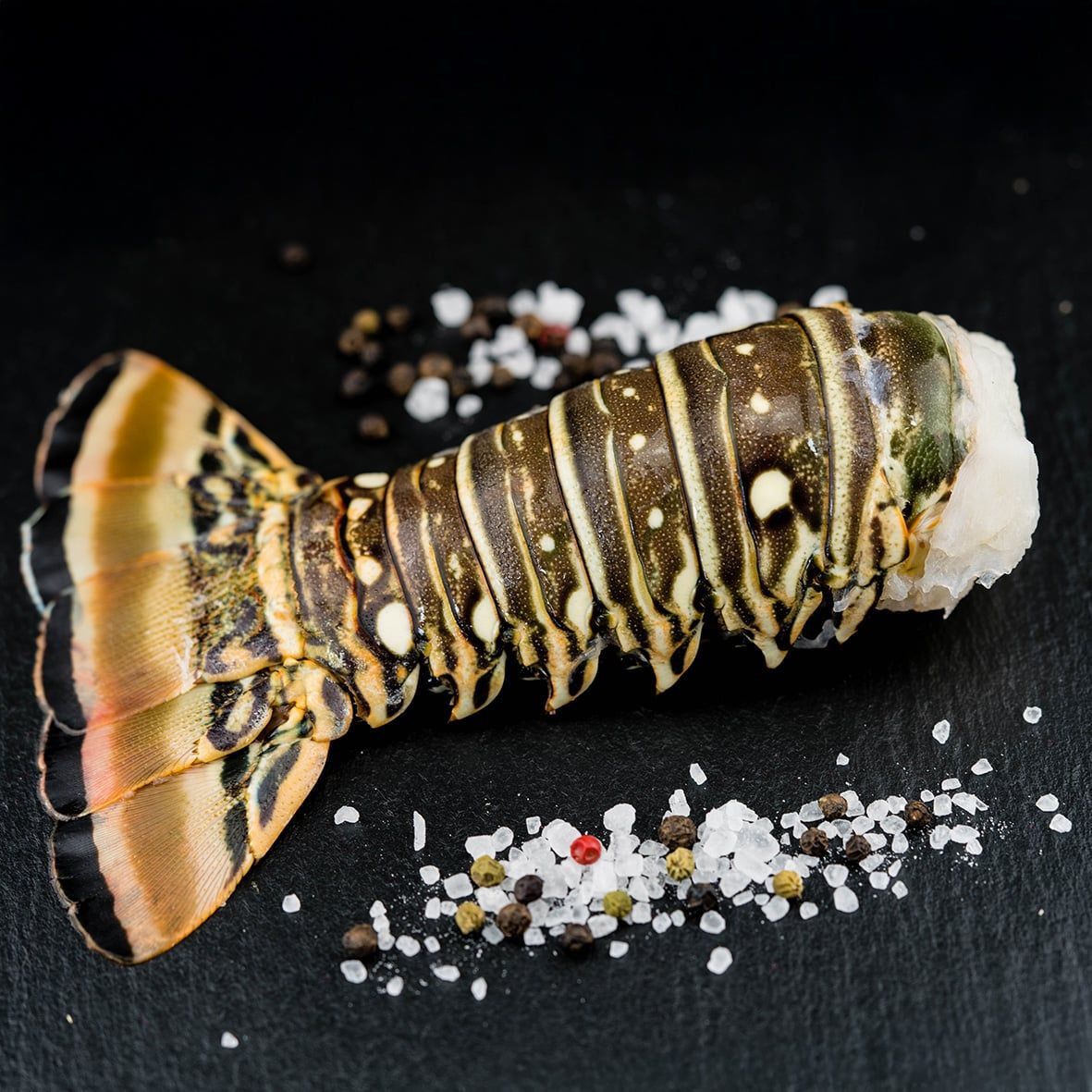  Langusten Schwanz XL roh, 800-950 g pro Stück