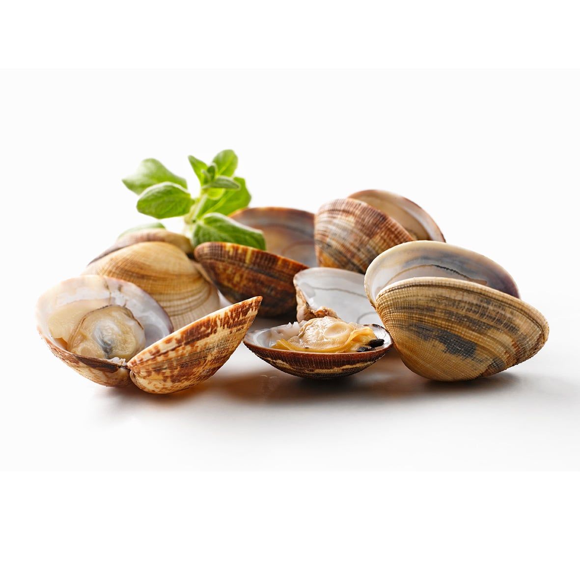 Ganze Venusmuscheln, sortenrein, blanchiert, schockgefrostet,1 kg 2