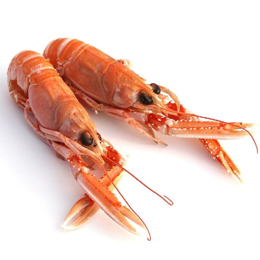 Langostinos, Kaisergranat, Kaiserhummer, Echte Scampi, WILDFANG