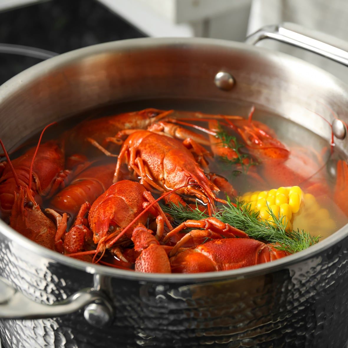 Lobster / Hummer, kanadischer, WILDFANG, roh 3