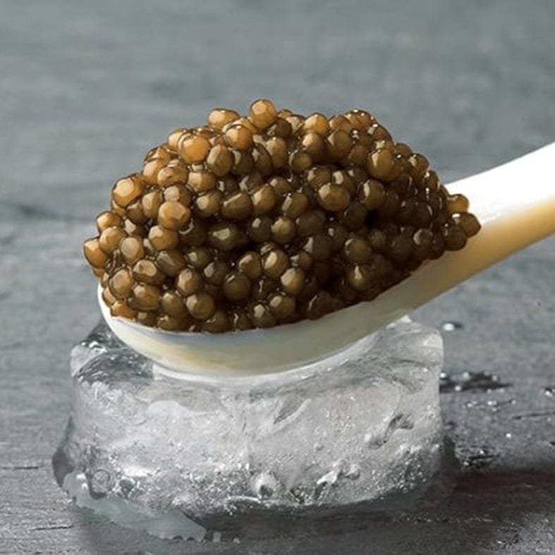 Imperial Kaviar (Korngröße: 2,8 – 3,0 mm)  3