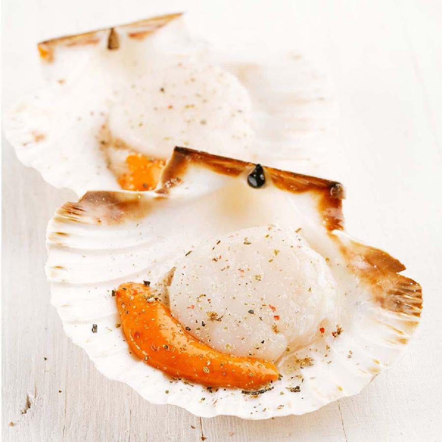 Jacobsmuschelfleisch (Scallops) mit Rogen 8/12 KINGSIZE – Wildfang 2