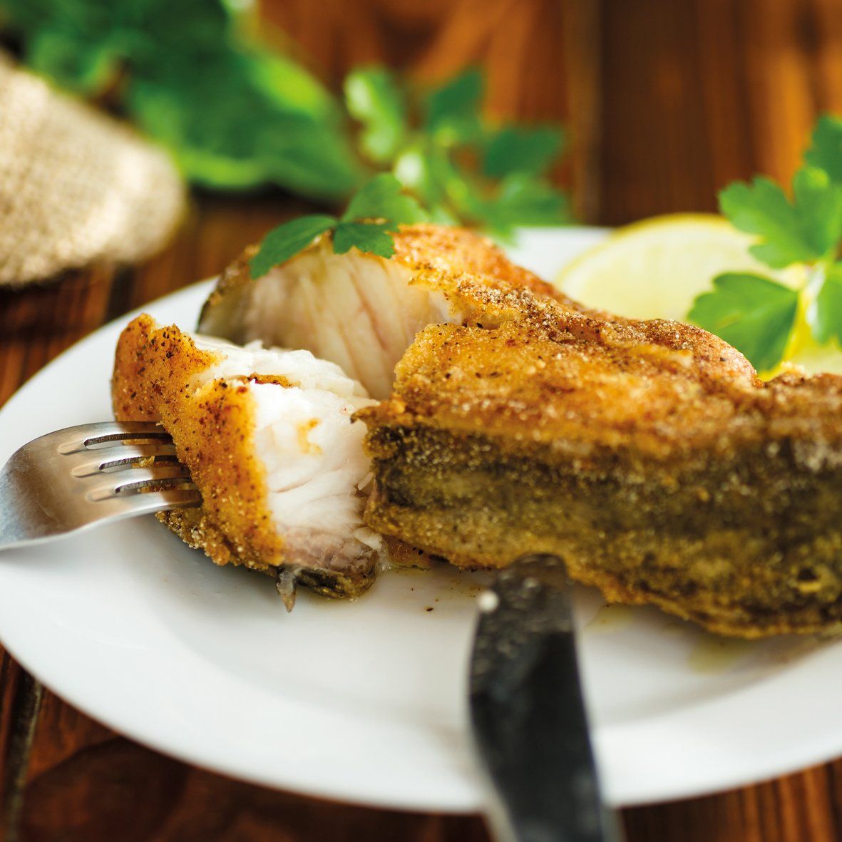 Steinbeißer-Filet (Seewolf) – 900 g aus dem Nordostatlantik