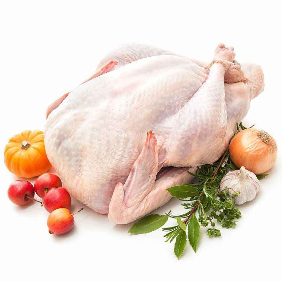 Truthahn / Thanksgiving Turkey / Putenbraten 4000g