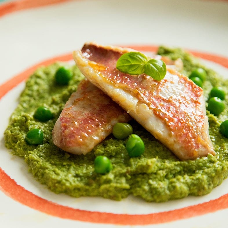 Rote Meerbarbe, Filetstücke aus WILDFANG 1kg 3