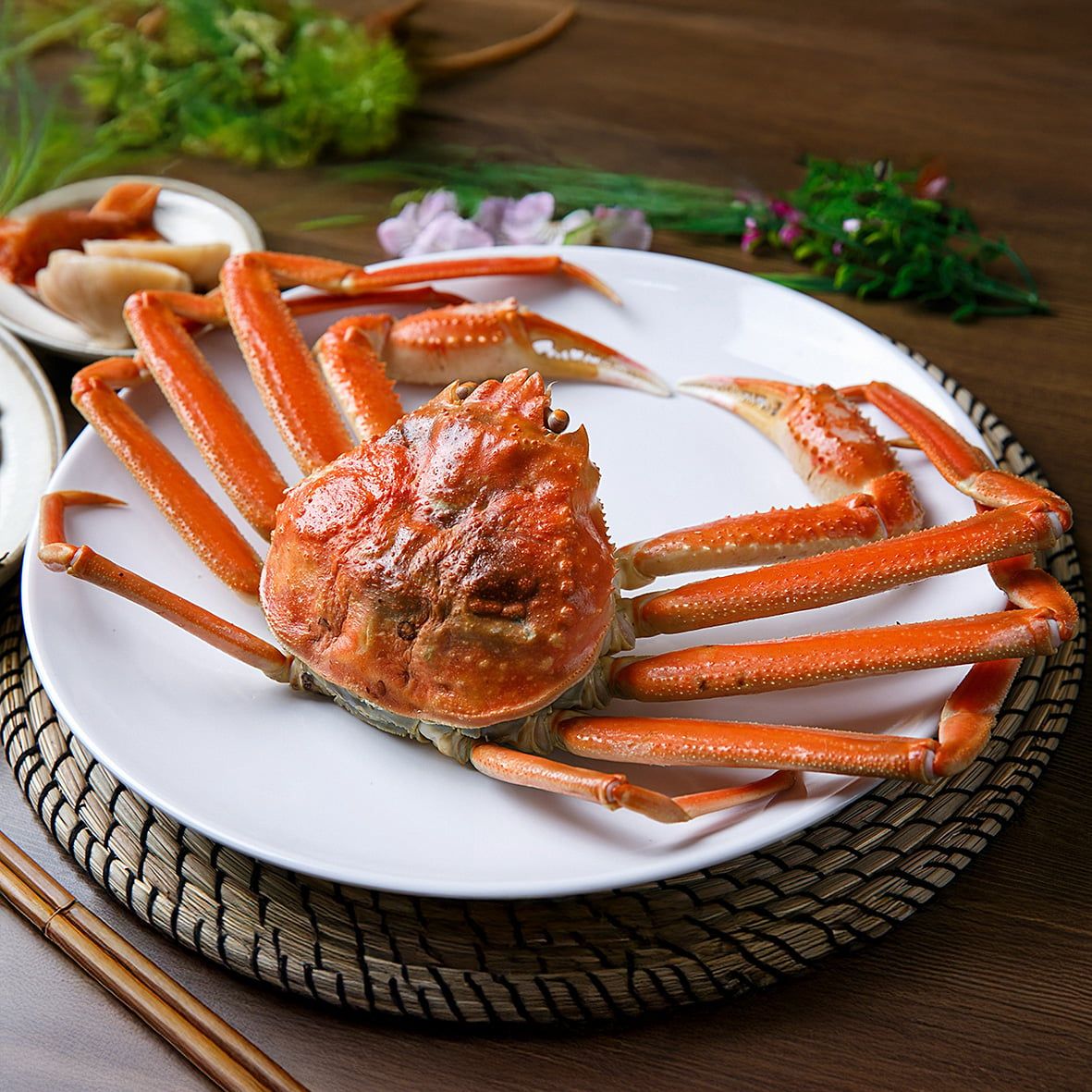 Schneekrabbe, ganz, gekocht – 500–900 g 