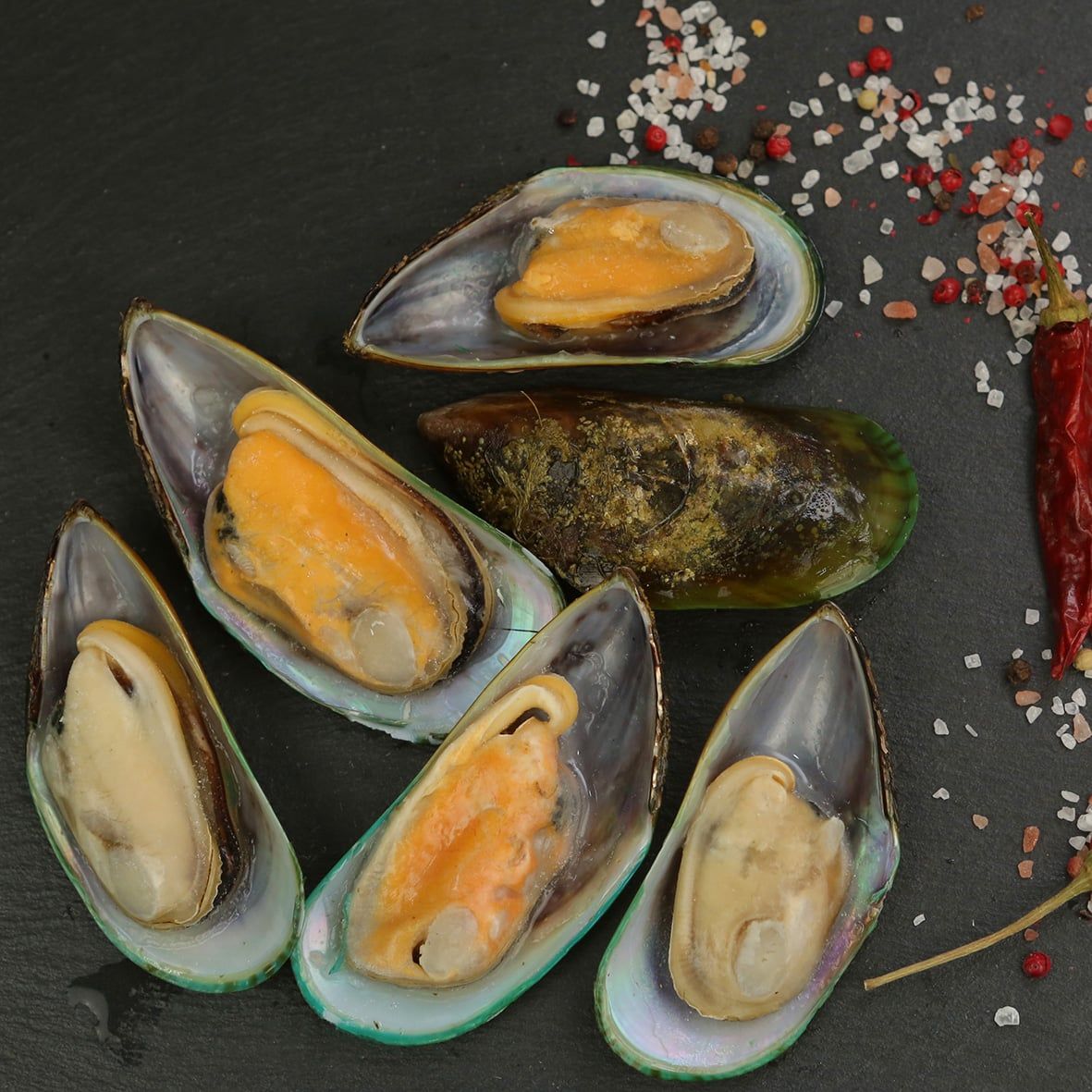 Grünschal-Muschelfleisch in halber Schale, ca. 30 – 45 Stück (1 kg)