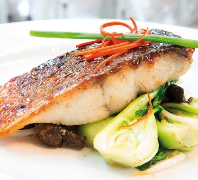 Barramundi-Filet – 10 Stück, ca. 800 g aus nachhaltiger Aquakultur