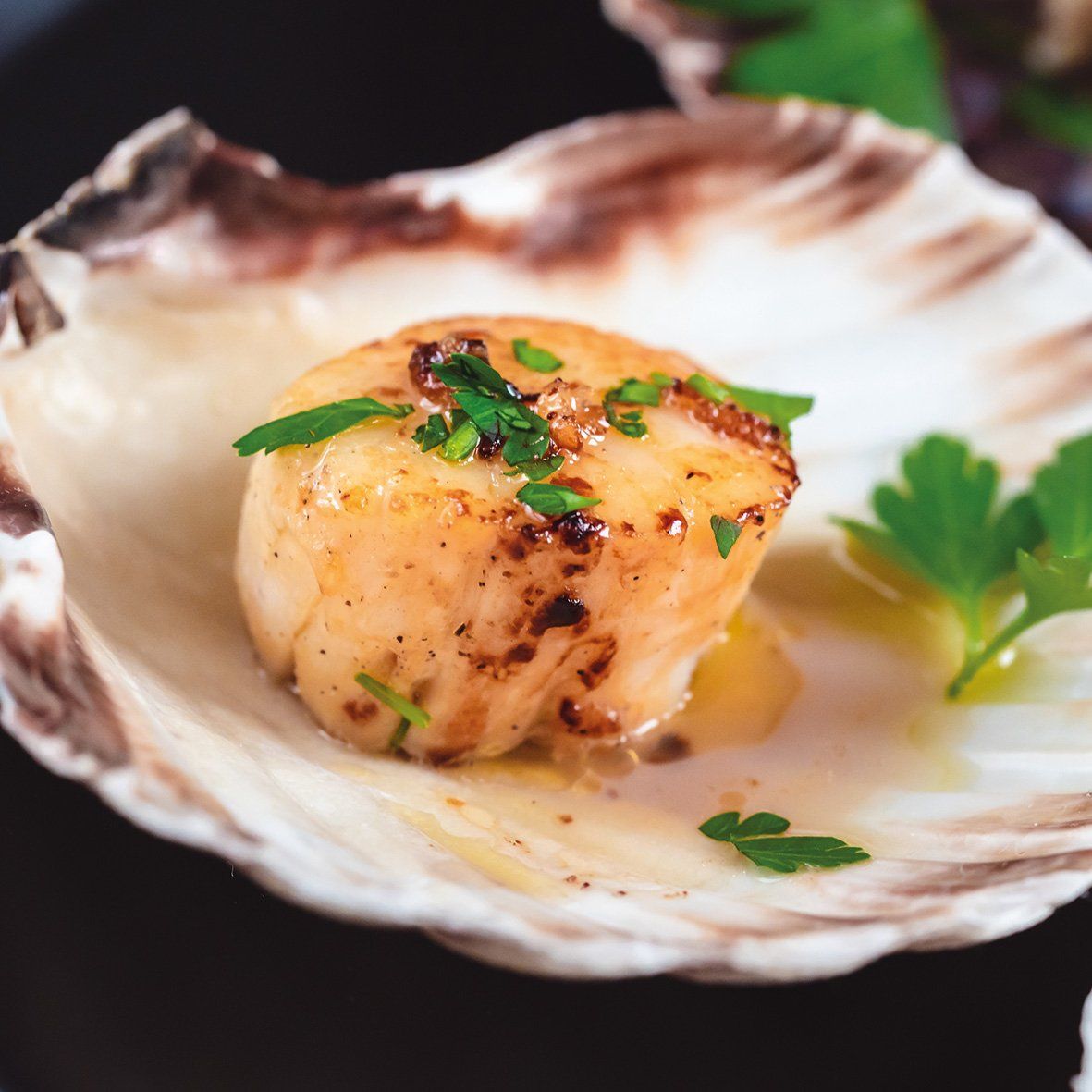 Tiefsee Scallops | ohne Rogen, 800 g