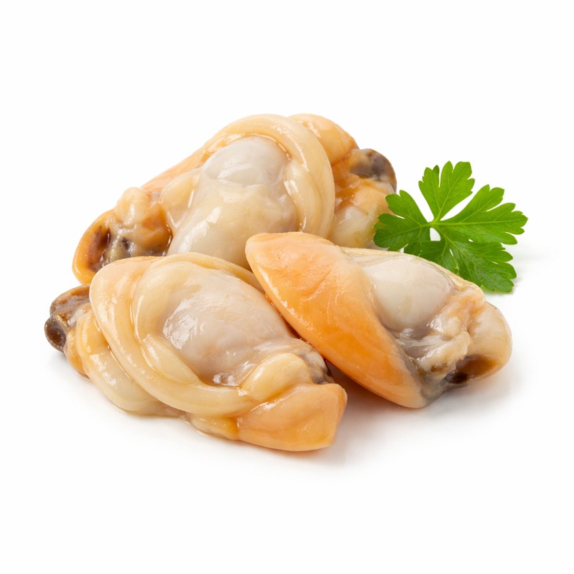 Venusmuschelfleisch, gekocht 2