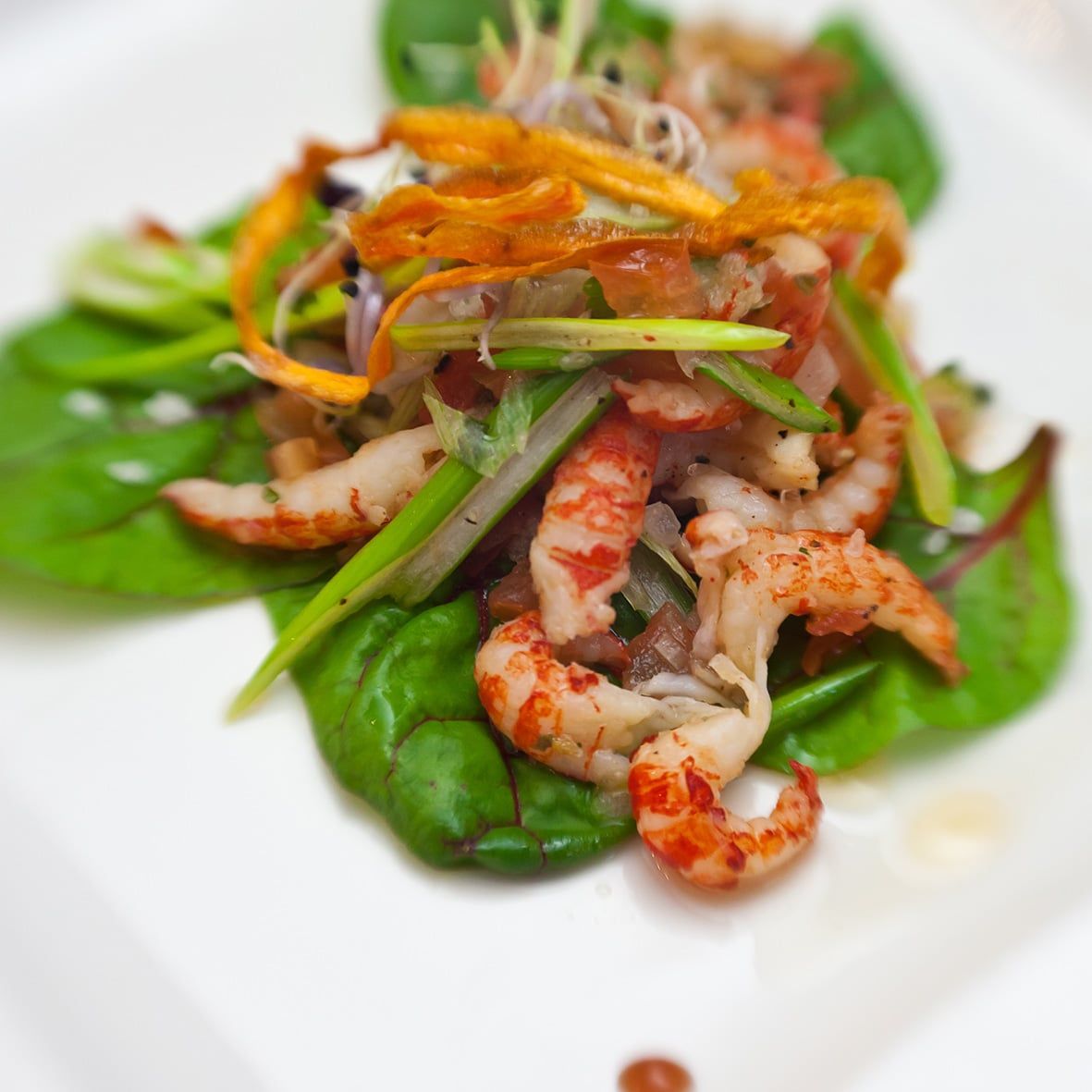 Flusskrebsschwänze, vorgekocht, einzeln entnehmbar, schockgefrostet (100 – 200 Stück / lb) 800g 3