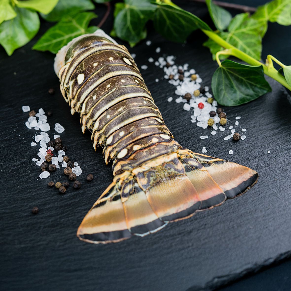  Langusten Schwanz XL roh, 800-950 g pro Stück