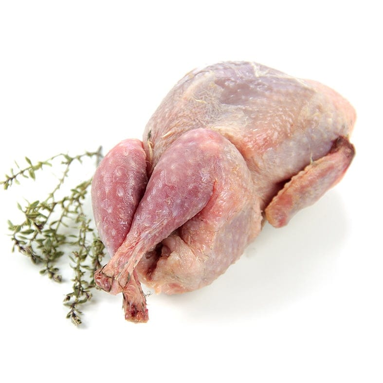 Wachteln, bratfertig ungewürzt, roh (4 x 150–170 g = ca. 600–700 g)   2