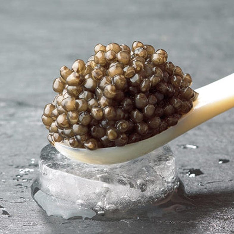 Royal Beluga Kaviar (Korngröße: 3,2 – 3,4 mm) 3