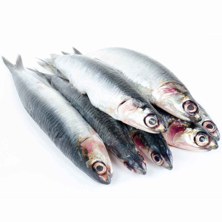 Sardellen oder Anchovies, einzeln ohne Kopf, 900g Vorteilspaket 90-120 St/Kg 2