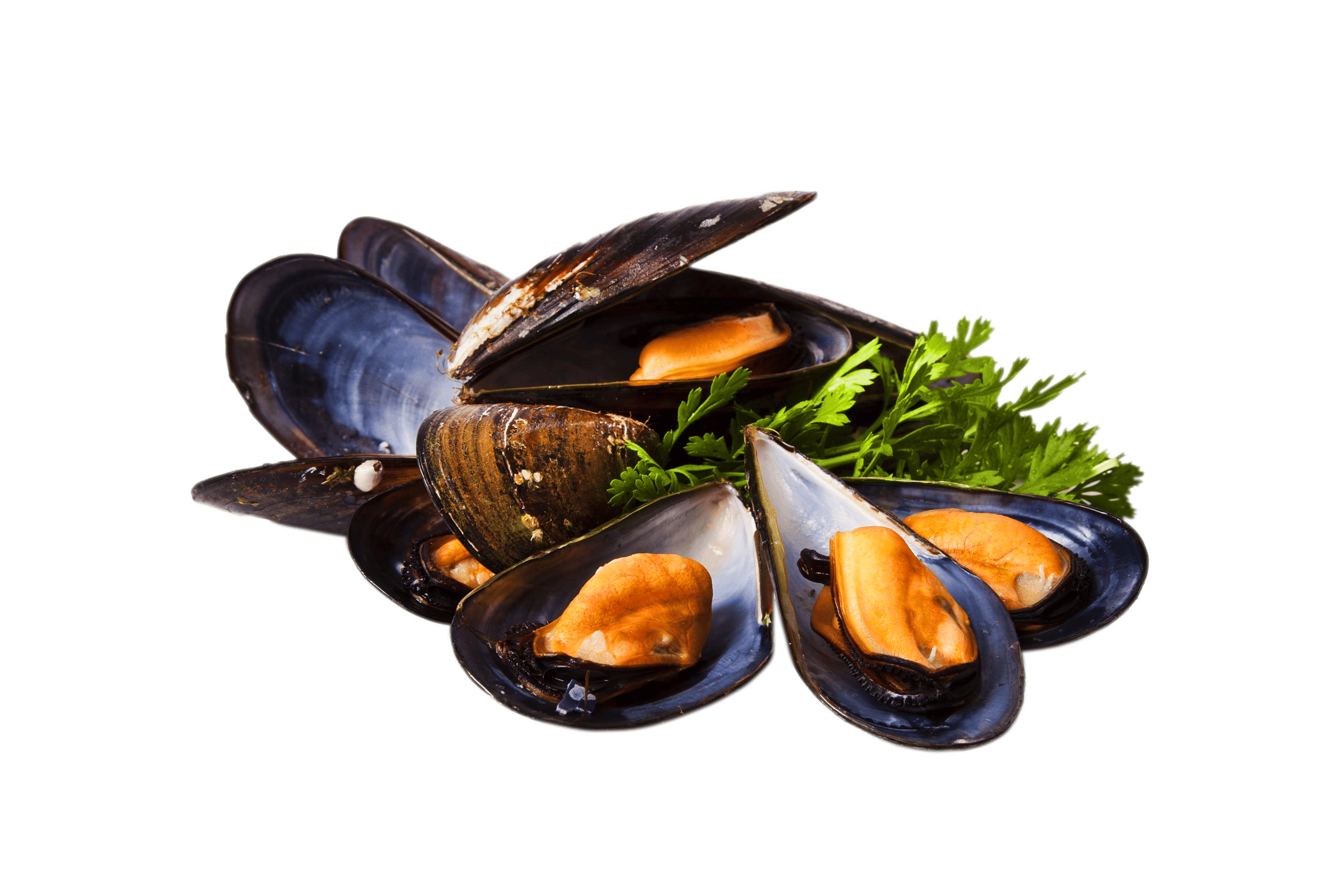 Miesmuscheln, im eigenen Sud, - Jugosones - naturell, 1 kg