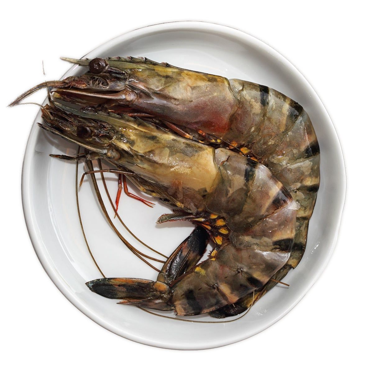 Gambas / Riesengarnelen / Black Tiger Shrimps (roh), m. Kopf, m. Schale, Giant L (8-12 Stk) 1 kg 2