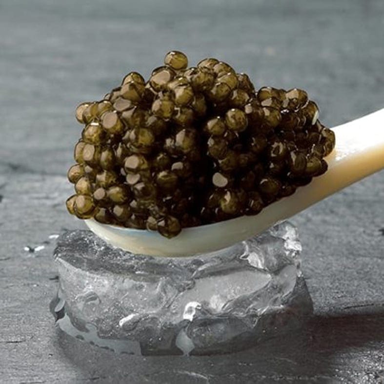 Osietra Kaviar (Korngröße: 2,7 – 2,8 mm) 3