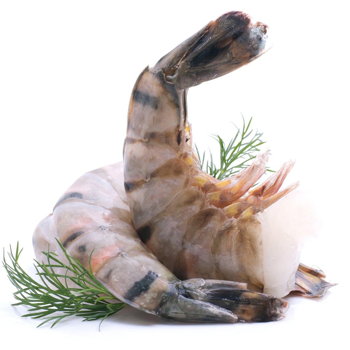 Riesengarnelen XXL, Rosenberg Prawn, ohne Kopf/mit Schale/roh 2