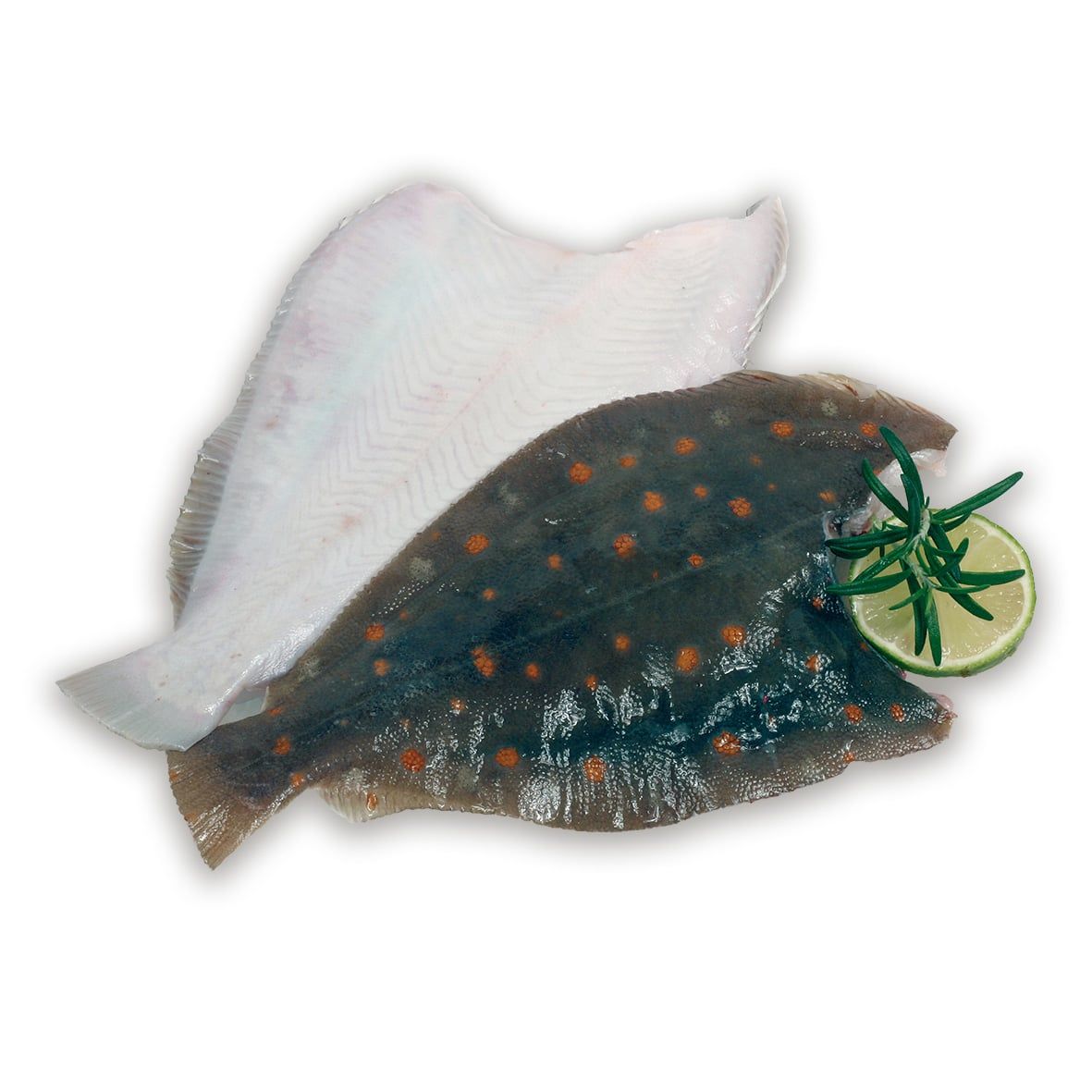 Schollen-Filet  2