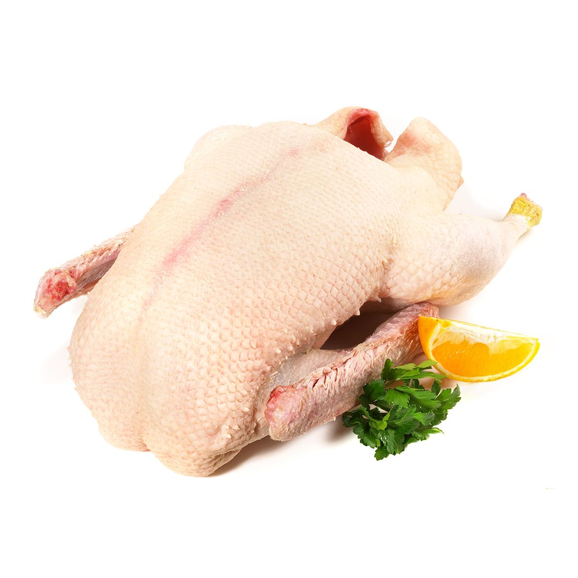 Weiße Polnische Hafergans - Die traditionelle Weihnachtsgans 3,8kg 2