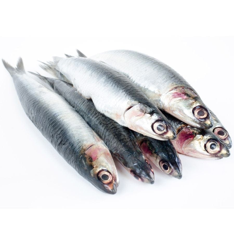 Sardellen oder Anchovies, einzeln ohne Kopf, 900g Vorteilspaket 90-120 St/Kg 1