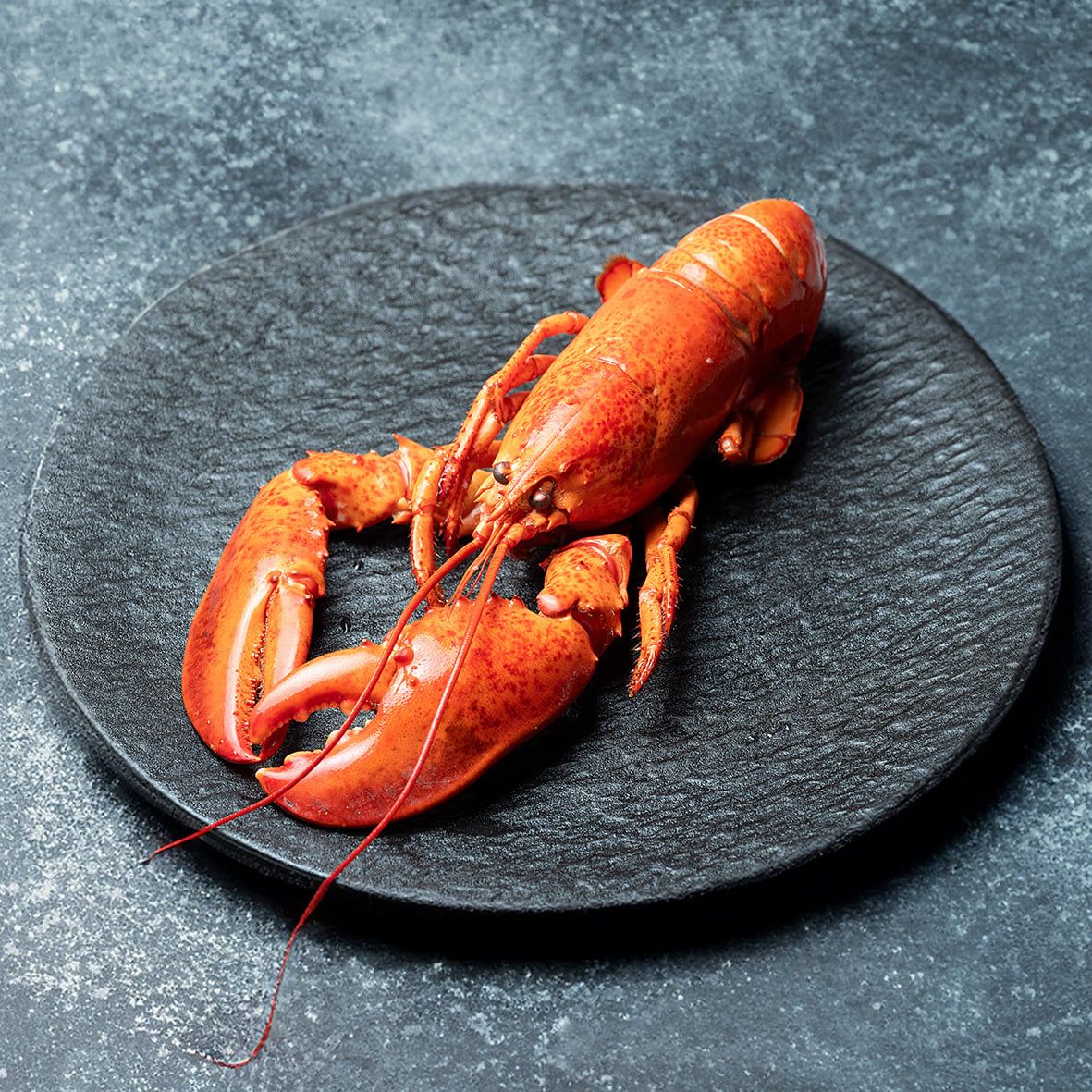 Lobster / Hummer, gekocht, 350g Wildfang 1