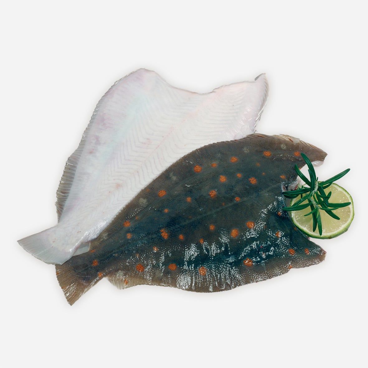 Ganze Scholle – 4 Stück, 1000–1400 g, küchenfertig & ohne Gräten 2