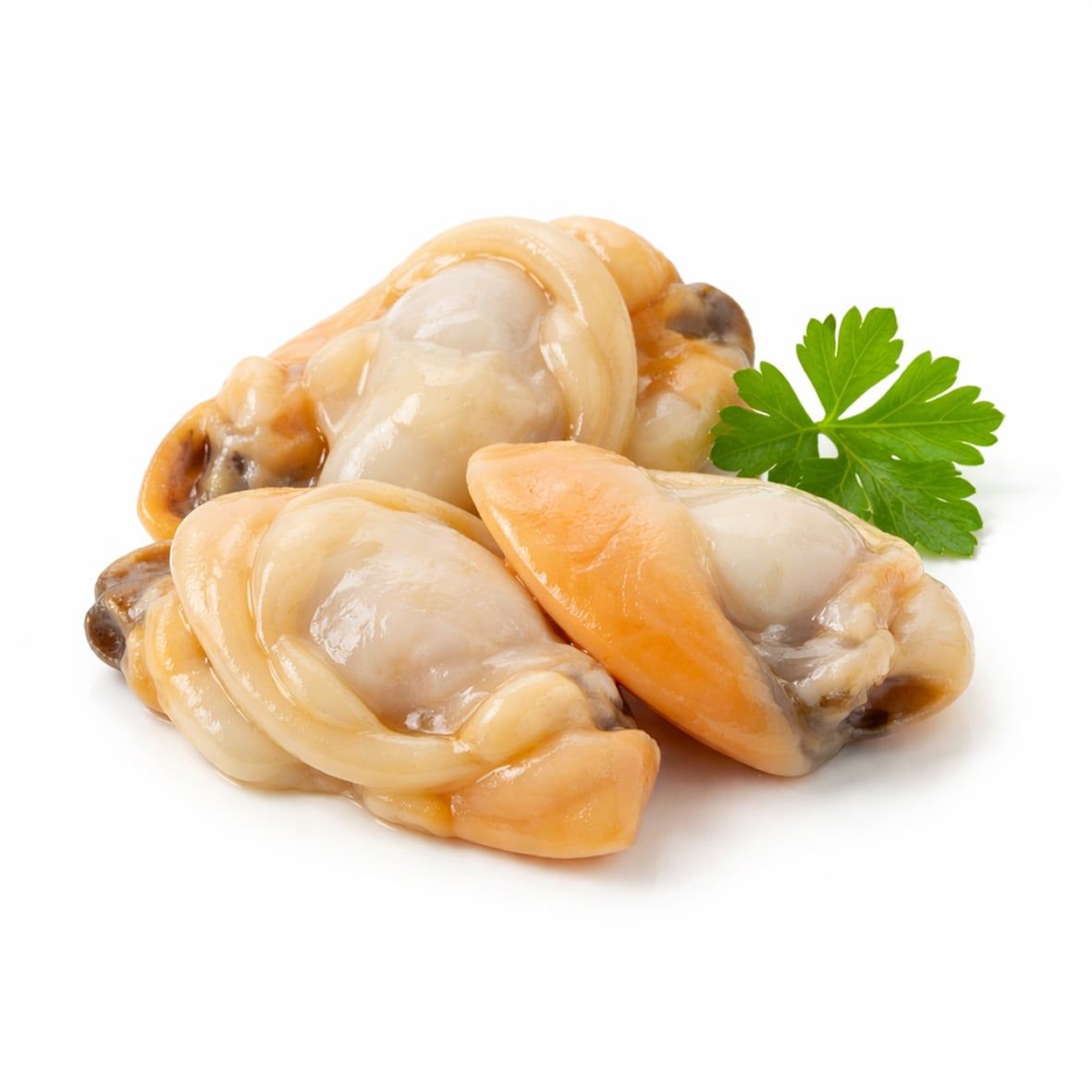 Venusmuschelfleisch (Fleisch von der gewellten Teppichmuschel), blanchiert 2