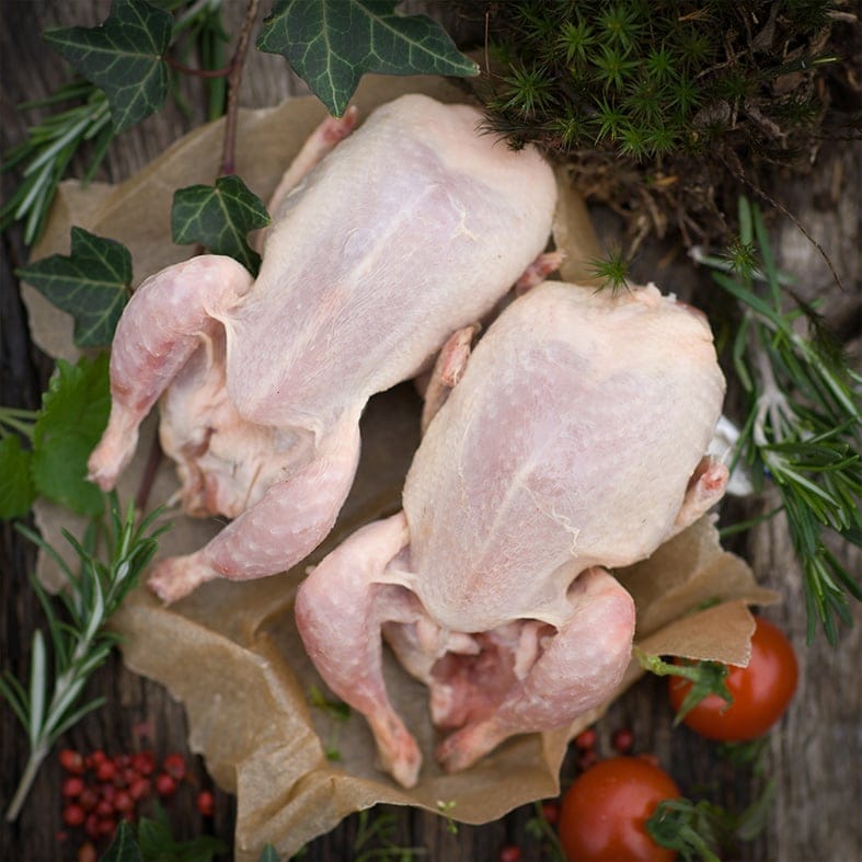 Wachteln, bratfertig ungewürzt, roh (4 x 150–170 g = ca. 600–700 g)  