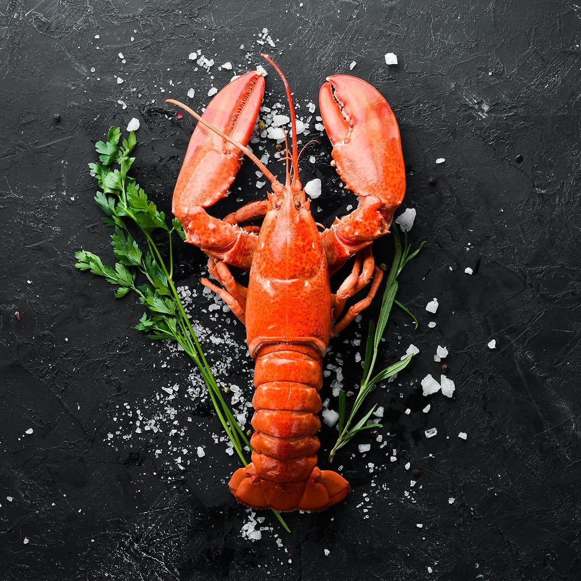 Hummer, gekocht 400 g Wildfang