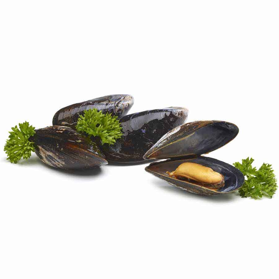 Miesmuscheln, im eigenen Sud, - Jugosones - naturell, 1 kg 2