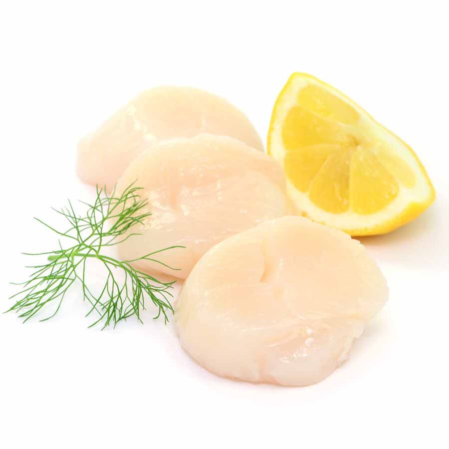 Jacobsmuschelfleisch (Scallops) ohne Rogen, KINGSIZE, u10, 1kg 2