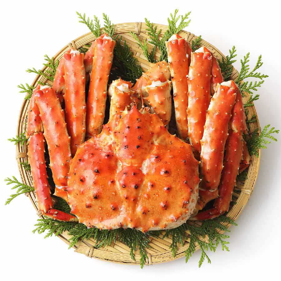 Königskrabbe / King Crab XL, ganze Krabbe, WILDFANG, 1000-4200g