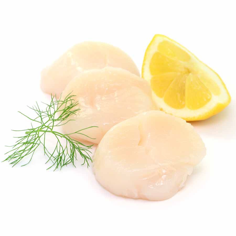 Jacobsmuschelfleisch (Scallops) ohne Rogen, Wildfang