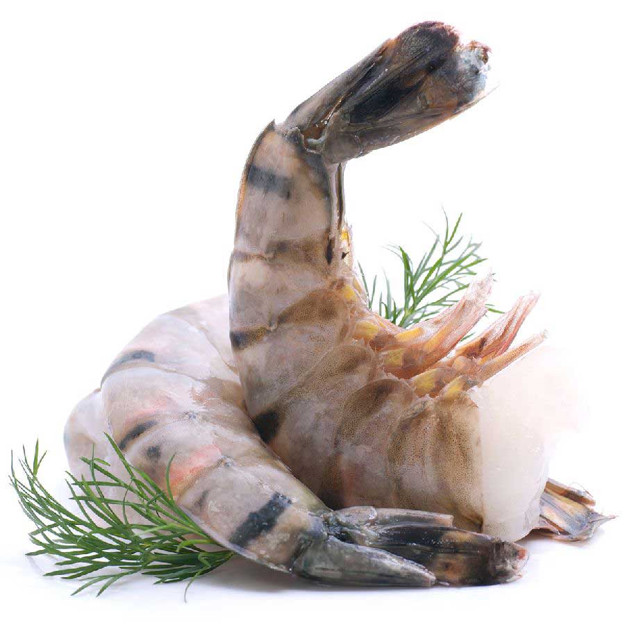 Riesengarnelen / Black Tiger Shrimps (roh) o. Kopf, m. Schale, Giant XL 8/12, 1 kg (17-26 Stück) 1